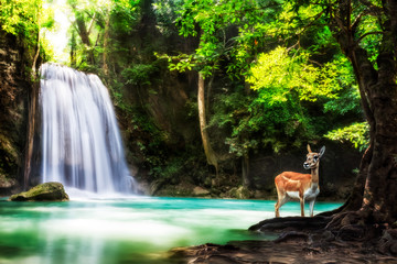 Level five of Erawan Waterfall