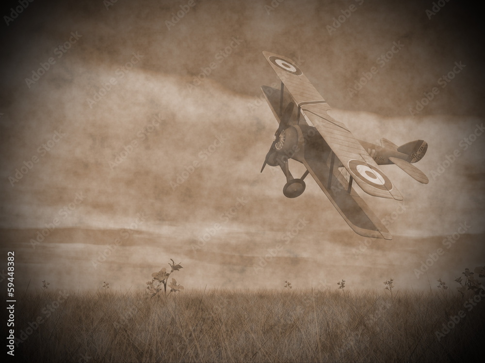 Canvas Prints biplane flying - 3d render