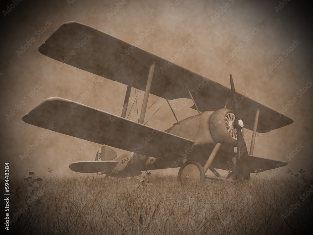 Canvas Prints biplane on the grass - 3d render