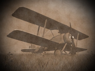 Biplane on the grass - 3D render © Elenarts