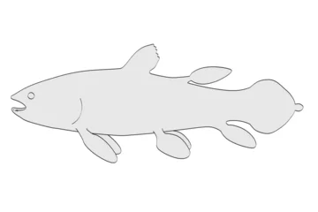 Tuinposter cartoon image of latimera fish © bescec