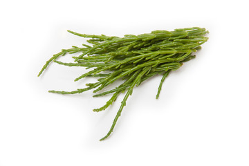 Samphire isolated on a white studio background.