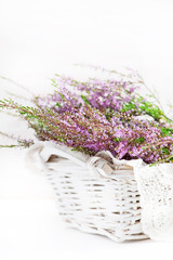 Heather in the basket