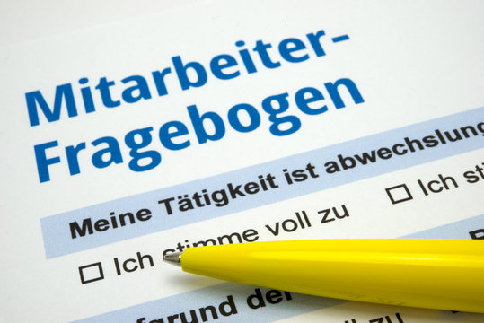 Mitarbeiterfragebogen