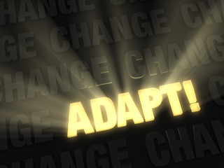 Adapt When Surrounded By Change