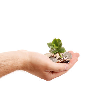 Hand with tree growing from pile of coins