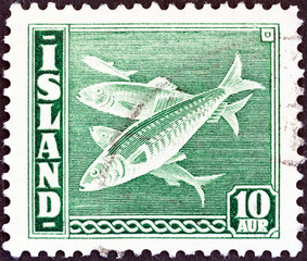 Naklejka premium Atlantic herring (Clupea harengus) fish (Iceland 1939)