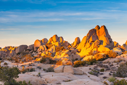 Joshua Tree National Park