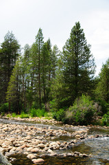 South fork San Soaquin river California
