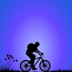 Fototapeta premium bike on the meadow