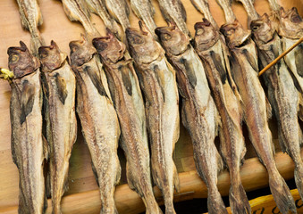 Fototapeta premium Salty fish