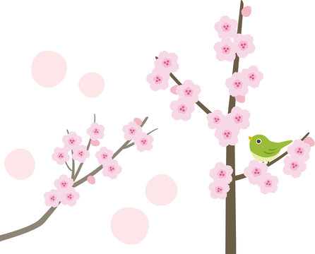 桜の枝と小鳥
