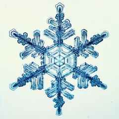 Fotobehang natural crystal snowflake macro © kichigin19
