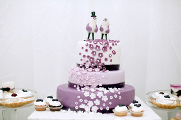 Wedding sweets, blueberry cake