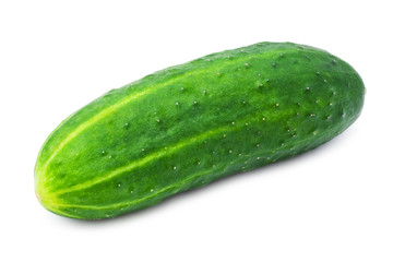 Fresh cucumber