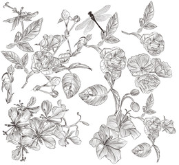 Floral set of vector high detailed flowers for design