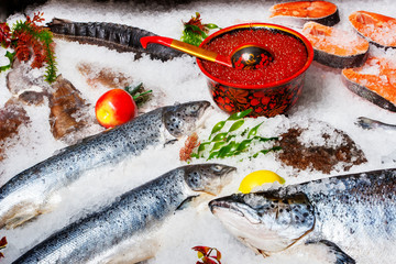  Different kinds of fish on ice
