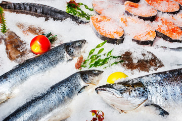  Different kinds of fish on ice