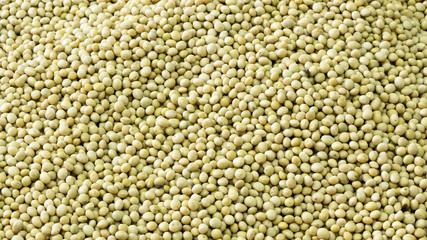 soy bean background