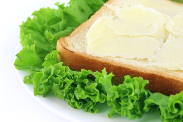 Sliced bread with cheese and green lettuce