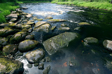 stones in a mountain river