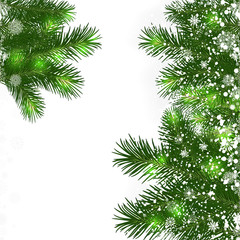 Christmas background with green branches of Christmas tree.