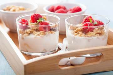 healthy breakfast with yogurt granola and raspberry