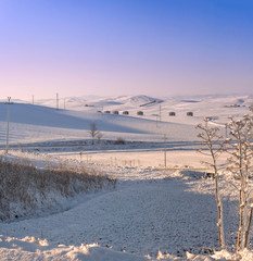 Fototapeta premium Tra Puglia e Basilicata: colline innevate. -ITALIA-