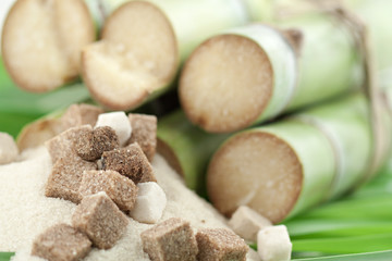 sucres de canne