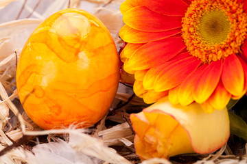 bemalte bunte ostereier in orange mit frischen blumen