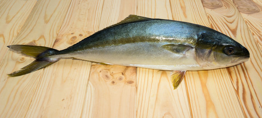 yellowtail fish on wooden boards