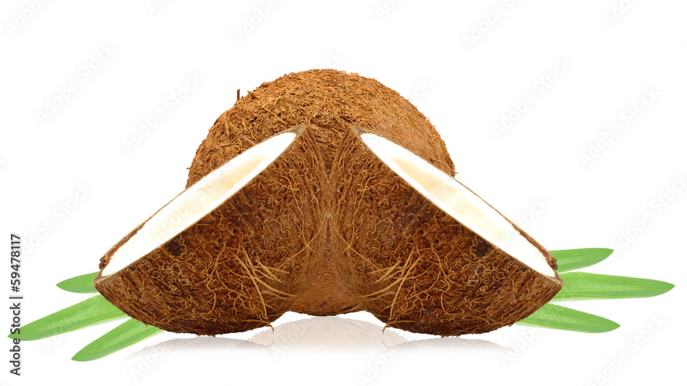 Wall mural coconuts