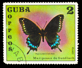 CUBA - CIRCA 1972: A stamp printed in Cuba, shows butterfly with
