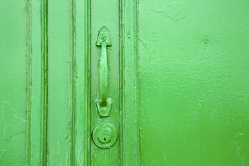 Fototapeta na wymiar canarias bra green closed wood abstract spain