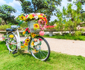 Obrazy na Plexi  Kwiat na rowerze jako dekoracja