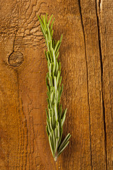 Fresh Organic Green Rosemary