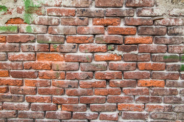brick wall