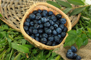 Blueberries in wooden basket on wicker tray on grass