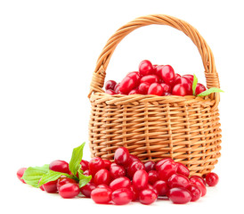 Fresh cornel berries in wicker basket, isolated on white