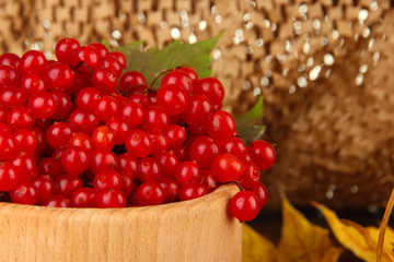 Red berries of viburnum in wooden bowl with yellow leaves
