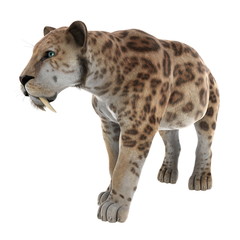 サーベルタイガー