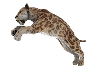 サーベルタイガー