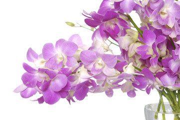 Fototapeta na wymiar Border of branch purple orchid in vase