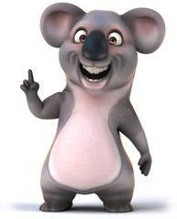 Koala © Julien Tromeur