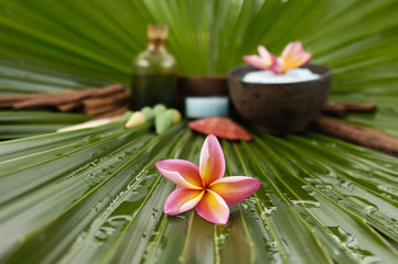frangipani. Sat in bowl, candle, massage oil, wet palm