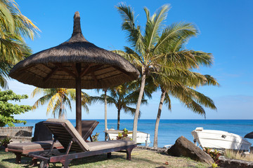 paysage de l'île Maurice sous les cocotiers