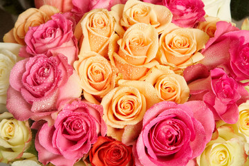 Naklejka premium Fresh roses