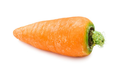 Carrot