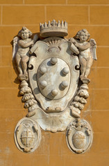 The Medici family embleme