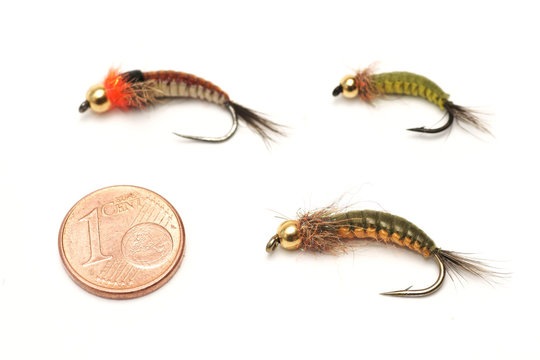 Fly fishing, bait, and one euro cent for size comparison